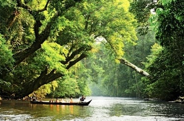 Kuala Tahan & Royal Belum national parks tour & travel packages. Best holiday & vacation from dhkt