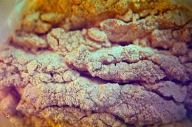 fotografia analogica de textura de alimento