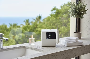 Irrigador dental para la limpieza interdental diaria hygiène-precision.com