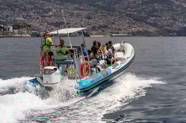 boat pass by towards Funchal bay 