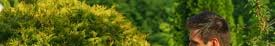 man hedge cutting a bush