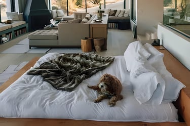 Cozy bedroom scene for abroad accommodation assistance, featuring a bed with a stuffed animal