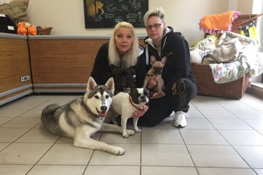 Das Barf-Tower Team, zwei Frauen und vier Hunde
