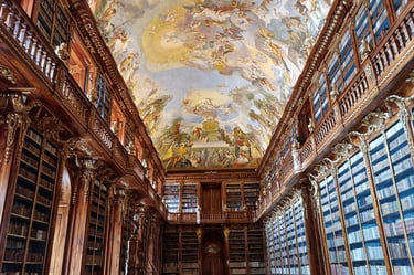 a library with a ceiling covered in a ceiling with a painted ceiling