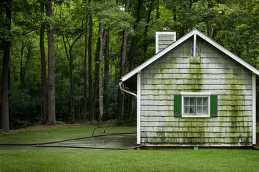Pressure Washing Near Me