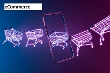 eCommerce industry expertise