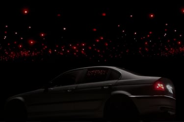 Einbau eines (Sternen-)Dachhimmels, Versand und Werkstattservice