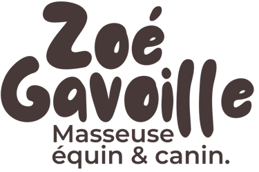 Zoé Gavoille masseuse animalier