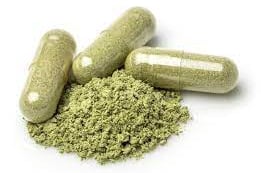 high polyphenol olive leaf extract