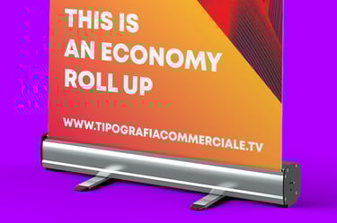 Roll up in vendita a treviso