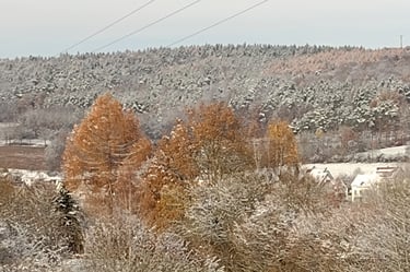 selbst im Winter, ein Traum zum Laufen