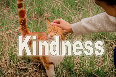 Kindness - Christian Resource Library
