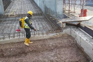 Anti Termite Pest Control Service