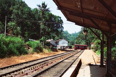 tropical railway station captured on analog film