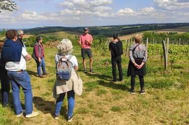 Explanations by the winemaker between the vines