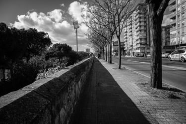 Foto no clasificada 7