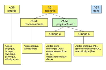 acides gras