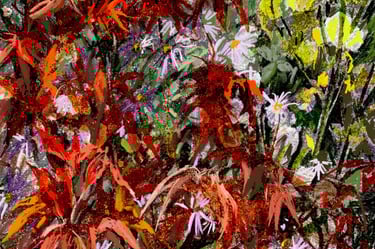 Acer digital and textured photo montage 1