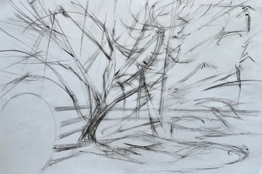 Around the little oak - original A3 drawing