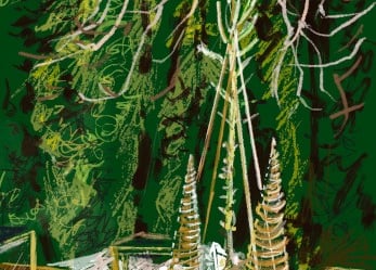 Digital drawing: Bean wigwam