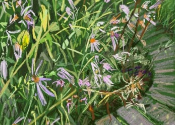Digital drawing: Michaelmas border