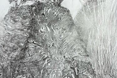 Graphite imprint - Peacock Garden Great Dixter