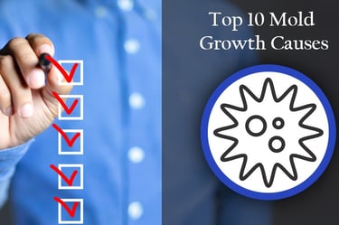 roof mold growth causes broward county fl