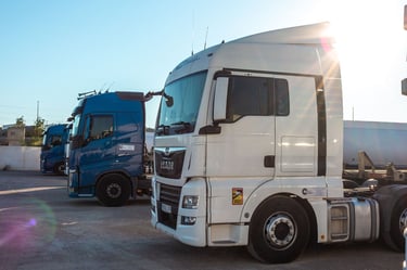 camiones y transporte de mercancias nacionales e internacionales