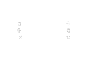 the logo for rebecca reed photography