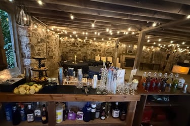 Southern Illinois Signature Mobile Bar Experience 