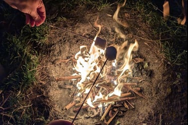 Roasting marshmallows over a crackling campfire during a peaceful wild camping night in Poland