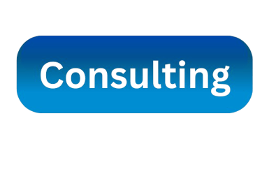 e commerce consulting