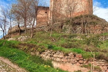 Torrecilla en Cameros-12