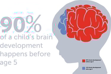 Brain of a child less than 5 year old