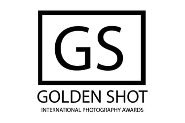 a black and white logo with the words golden shot