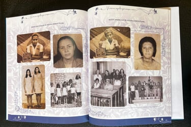 álbum de família diagramado