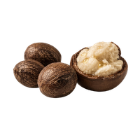 Raw shea nuts and organic shea butter in a shell against a black background.