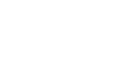Checkmark icon in white