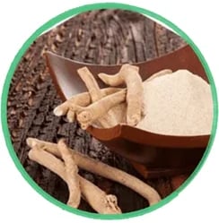 Ashwagandha adaptogen for cortisol modulation, protecting the HPG axis, and maintaining libido.