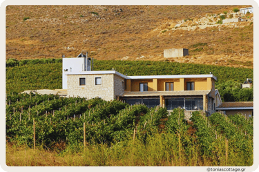 View of Domaine Paterianakis, with its stone building and surrounding vineyards