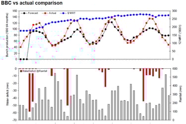 Metrics of the bunches of a palm oil cultivation