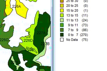 Metrics of a palm cultivation
