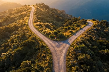 Two diverging paths at golden hour, one bright and open, one fading into shadow