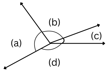NAPLAN Year 5 Angles