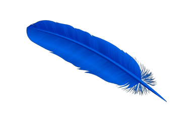 Blue feather representing creativity, inspiration, and the journey of transformation.