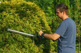 a man cutting a hedge