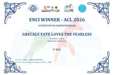 Attestato 3° Eccellente Enci Winner Diva Grecale Fate Loves The Fearless Grecalestaffs