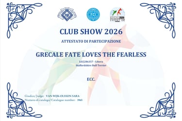 Eccellente Club Show Raduno SIT Diva Grecale Fate Loves The Fearless Grecalestaffs