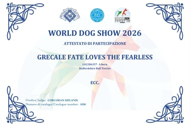 Attestato Eccellente WDS 2026 Diva Grecale Fate Loves The Fearless Grecalestaffs