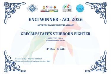 Attestato 2° Eccellente Riserva CAC Enci Winner Grecalestaffs Stubborn Fighter Jin